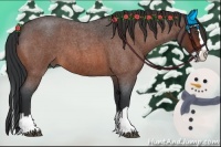 Horse Color:Bay Roan Splash