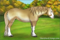 Horse Color:Watercolor Red Onyx Splash 