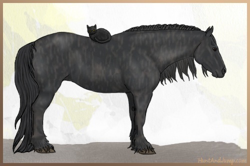 Horse Color:Black Brindle