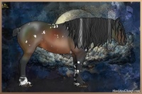 Horse Color:White Spotted Brown Sabino