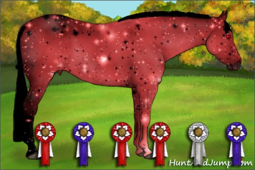 Horse Color:ERROR: UNKNOWN ANOMALY