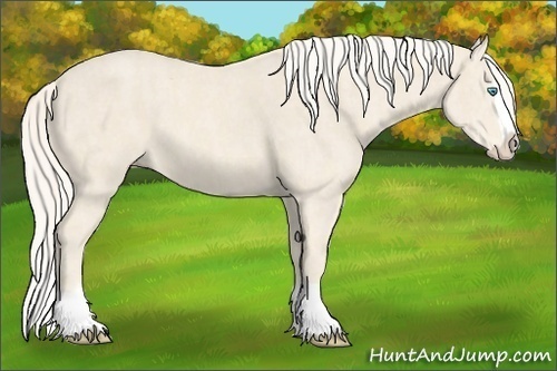 Horse Color:Cremello Splash  Brindle