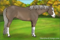 Horse Color:Chocolate Palomino Splash