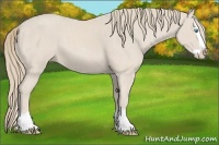 Horse Color:Smoky Creme Splash  Brindle