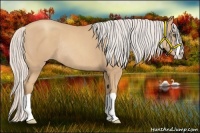 Horse Color:Silver Classic Champagne Splash Rabicano 