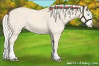 Horse Color:Cremello Splash  and Cremello Splash 