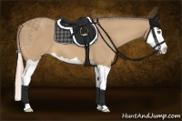 Horse Color:Palomino Splash