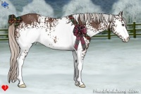 Horse Color:White Spotted Silver Brown Rabicano 