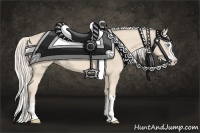 Horse Color:Cremello Splash  and Cremello Splash 