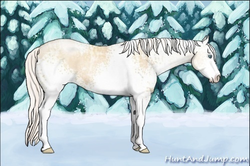 Horse Color:White Spotted Silver Classic Champagne Ice Pearl Sabino