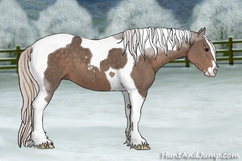 Horse Color:Silver Black Sabino Tobiano