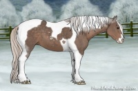 Horse Color:Silver Black Sabino Tobiano 