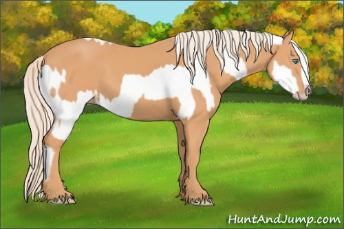 Horse Color:Gray Cremello Splash  and Gray Cremello Splash 