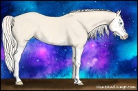 Horse Color:Cremello Splash  and Cremello Splash 