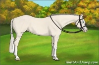 Horse Color:Cremello Splash  and Cremello Splash 