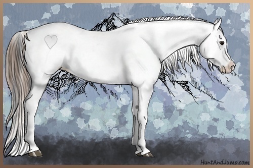 Horse Color:Buckskin Leopard 