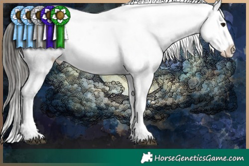 Horse Color:White Spotted Chocolate Buckskin Sabino Appaloosa 