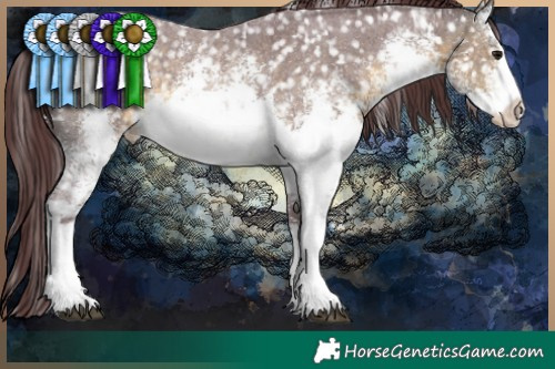 Horse Color:White Spotted Chocolate Buckskin Sabino Snowflake Varnish