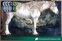 Horse Color:White Spotted Chocolate Buckskin Sabino Snowflake Varnish 