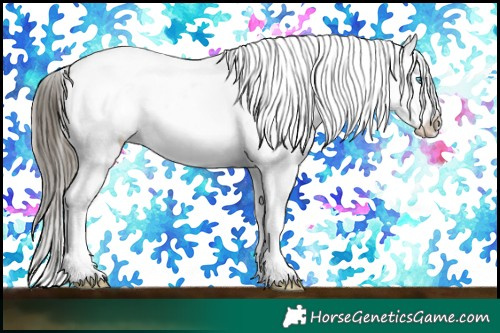 Horse Color:Buckskin Roan Pearl Onyx Sabino Near Leopard Brindle 
