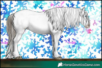 Horse Color:Buckskin Roan Pearl Onyx Sabino Appaloosa Brindle