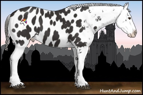 Horse Color:Liver Chestnut Near Leopard
