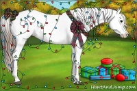 Horse Color:Smoky Black Appaloosa 