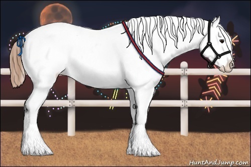 Horse Color:Buckskin Near Leopard