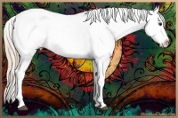 Horse Color:Chocolate Palomino Roan Near Fewspot 