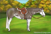 Horse Color:Silver Black Sabino Splash
