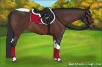 Horse Color:Bay Sabino Tobiano