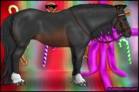 Horse Color:Brown  and Brown 