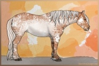 Horse Color:White Spotted Silver Bay Ice