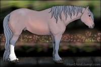 Horse Color:Watercolor Bay 