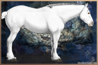 Horse Color:White Spotted Silver Black Chinchilla Appaloosa Rabicano