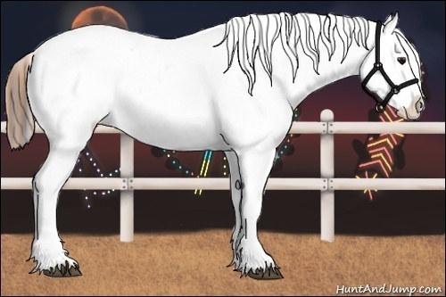 Horse Color:Buckskin Near Leopard 