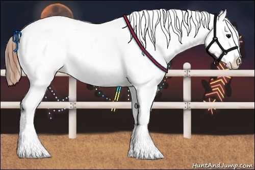 Horse Color:Buckskin Leopard