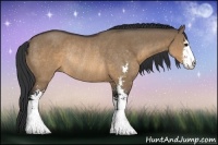 Horse Color:Brown Dun Sabino Rabicano