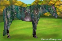 Horse Color:ERROR: UNKNOWN ANOMALY and ERROR: UNKNOWN ANOMALY