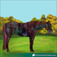 Horse Color:ERROR: UNKNOWN ANOMALY and ERROR: UNKNOWN ANOMALY