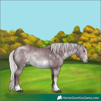 Horse Color:Chocolate Silver Brown Chinchilla Sabino Tobiano Frame Rabicano 