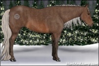 Horse Color:Silver Brown Rabicano  Brindle