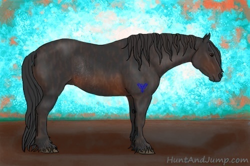 Horse Color:Brown Rabicano Brindle