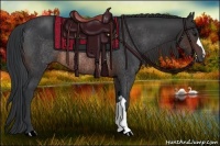 Horse Color:Brown Rabicano and Brown Rabicano