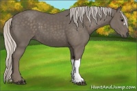 Horse Color:Silver Black