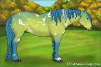 Horse Color:Watercolor White Spotted Buckskin 