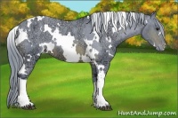 Horse Color:Watercolor White Spotted Brown Ice Varnish