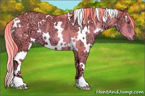 Horse Color:Watercolor White Spotted Chestnut Ice