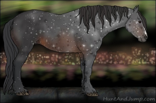 Horse Color:ERROR: UNKNOWN ANOMALY