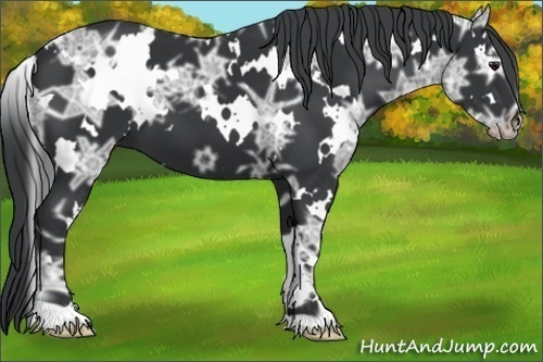 Horse Color:White Spotted Smoky Black Chinchilla Ice